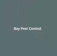 Bay pest control image 1
